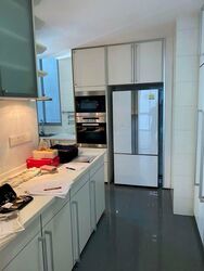 Cairnhill Crest (D9), Condominium #597765501